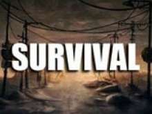 Игра Survival фото