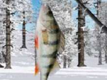 Игра Зимняя рыбалка фото