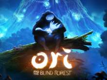 Игра Ori and the Blind Forest фото